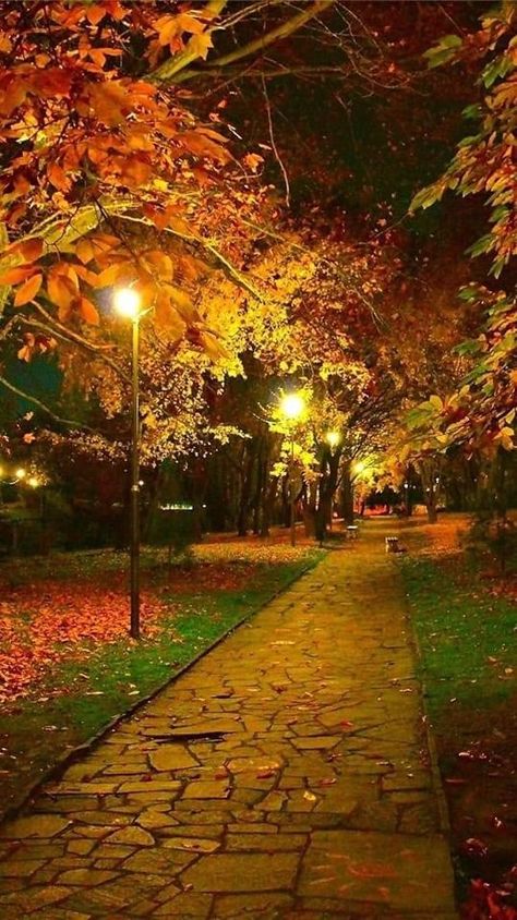 Evening Background, Good Evening Love, Wallpaper Autumn, Autumn Evening, Fall Night, Autumn Park, Computer Backgrounds, Autumn Scenes, Autumn Night