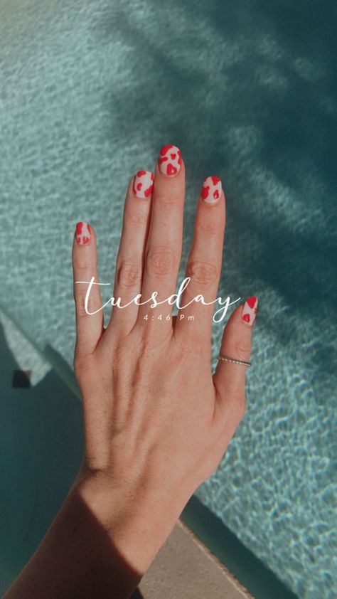 Red Cow Print Nails Acrylic, Red Nails With Cow Print, Red And Cow Print Nails, Red Cow Nails, Red Pink Nails Design, Red Cow Print Nails, Pink Cow Print Nails, Red Cow Print, Nails Fire