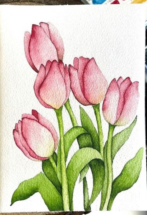 Water Colour Painting Beginner, Watercolour Inspiration Simple, Tulip Canvas Painting, Water Colours Painting For Beginners, Tulip Watercolor Painting, Watercolour Birthday Cards, 2024 Watercolor, Colours Painting, Watercolor Pencil Art