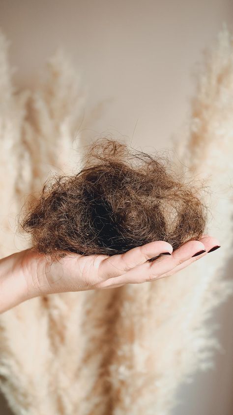 How to Stop Excessive Hair Shedding Stop Hair From Falling Out, Stop Hair Shedding, Healthy Hair Routine, Hair Growth Cycle, Scalp Serum, Hair Growth Supplement, Hair Knot, Scalp Oil, Hair Shedding