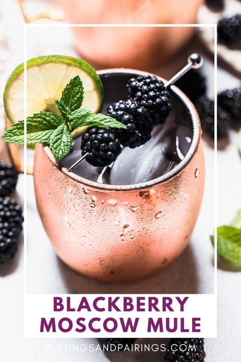 Try this Blackberry Moscow Mule for a delicious twist on the traditional Moscow Mule cocktail. Fresh blackberries, lime juice, vodka and ginger beer combine in this delicious and refreshing icy cocktail. Mule Cocktail Recipes, Low Carb Vodka Drinks, Blackberry Mule, Blackberry Moscow Mule, Blackberry Cocktails, Spicy Blackberry Margarita, Mule Variations, Moscow Mule Variations, Best Moscow Mule