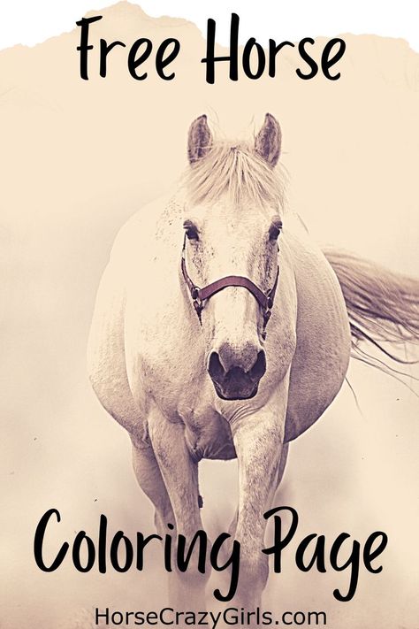 The words Free Horse Coloring Page with a picture os a horse walking. Horse Coloring Pages Free Printable, Horse Coloring Books, Amazon Book, Drawing Pictures, Free Horses, Bay Horse, Coloring Pages Free Printable, Horse Coloring Pages, Adult Coloring Book Pages