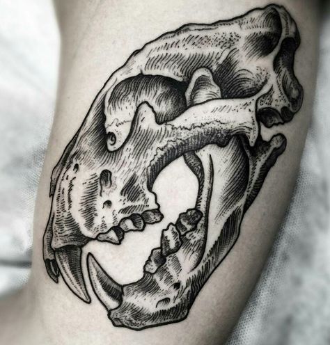 Bear Skull, Dinosaur Tattoos, Skeleton Tattoos, Cat Skull, Skull Tattoo Design, Wolf Tattoos, Tiger Tattoo, Black Ink Tattoos, Arte Sketchbook