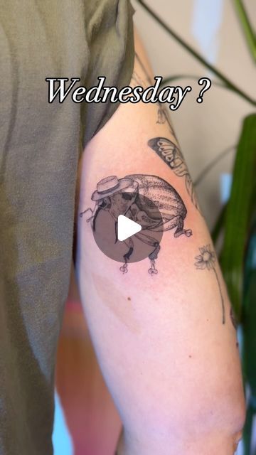 Stéphanie Leblanc on Instagram: "YOU KNOW EXACTLY WHAT I WANT TO HEAR IN THE COMMENTS 🗣️🗣️💥💥‼️‼️👇👇👇👇

#weevil #weevilwednesday #itsweeviltime #bugtattoo #entomology" Bougenville Flowers Tattoo, Owain Glyndwr Tattoo, Weevil Tattoo, Amityville Horror Tattoo, Bug Tattoo, What I Want, I Want, Tattoos, On Instagram