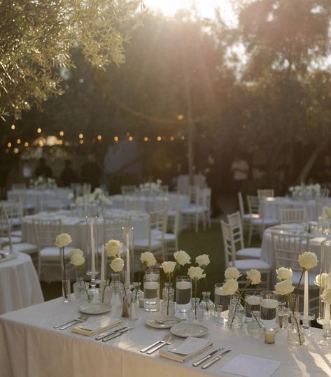 White Runner Wedding Table, Simple White Flower Table Decor, Floor Flower Arch Wedding, Minimal Flower Table Setting, Classic Timeless Wedding Flowers, Simple White Wedding Table Decor, Indoor Wedding Table Decor, Wedding Decor White Flowers, Ivory Linens Wedding Table