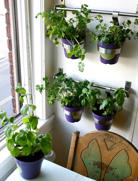 tHE gOOD LIFe: DIY: Herb Wall in the Kitchen Wall Plants Indoor, Plant Wall Diy, Vertical Herb Gardens, Window Herb Garden, Herb Garden Wall, Outdoor Herb Garden, Hanging Herb Garden, Indoor Plant Wall, Wall Planters Indoor