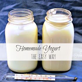 Goat Milk Yogurt, Homemade Yogurt Recipes, Make Your Own Yogurt, Goat Milk Recipes, Homestead Blog, Yogurt Maker, Diy Pantry, Cheese Making, Milk And Cheese