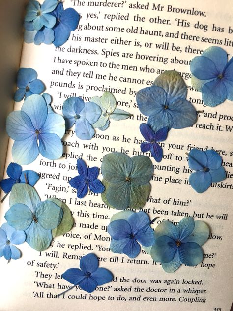 Hydrangea Aesthetic, Pressed Hydrangea, Dried Hydrangeas, Everything Is Blue, Color Vibe, Nothing But Flowers, Pressed Flower Art, Flower Therapy, Arte Floral