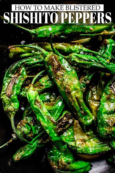 These Blistered Shishito Peppers are the perfect finger food. They're so easy to make too. Lightly seasoned & slightly smoky, you'll love their flavor. // blistered shishito peppers // shishito peppers recipe // appetizers // #shishitos #shishitopeppers #charredshishitopeppers #fingerfood #tapas #blisteredshishitos #blisteredshishitopeppers Roasted Shishito Peppers, Shishito Pepper Recipe, Blistered Shishito Peppers, Shishito Peppers, Asian Foods, Veggie Side Dishes, Peppers Recipes, Veggie Sides, Veggie Dishes