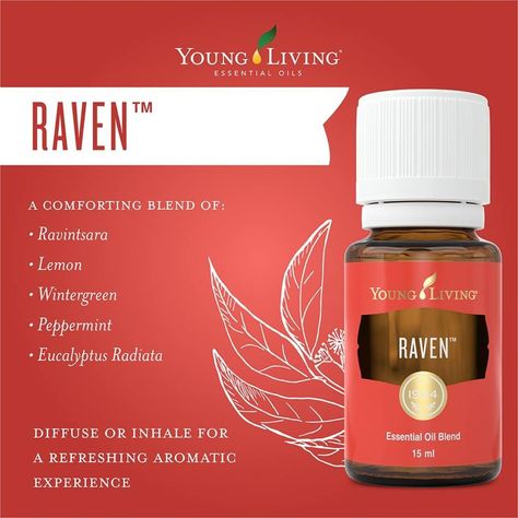 Young Living Africa on Instagram: “What are your tips for using Raven essential oil? Share with us using the hashtag #YLTip! . Learn more:…” Raven Essential Oil Young Living, Young Living Raven, Raven Essential Oil, Young Living Peppermint, Wintergreen Essential Oil, Eucalyptus Radiata, Eucalyptus Trees, Essential Oil Benefits, Essential Oil Blend