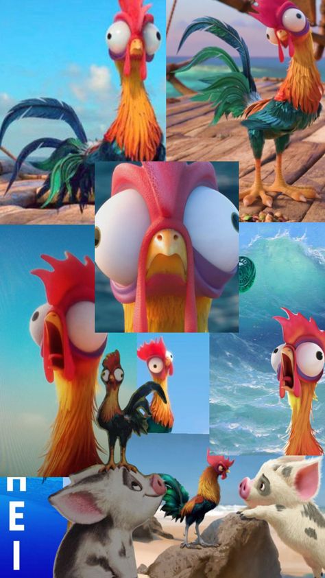 HEI HEI FROM MOANA🐓 Hei Hei Wallpaper, Hey Hey Moana Chicken, Hey Hey Moana, Moana Memes, Moana Chicken, Heihei Moana, Hei Hei Moana, Moana Movie, Chicken Wallpaper