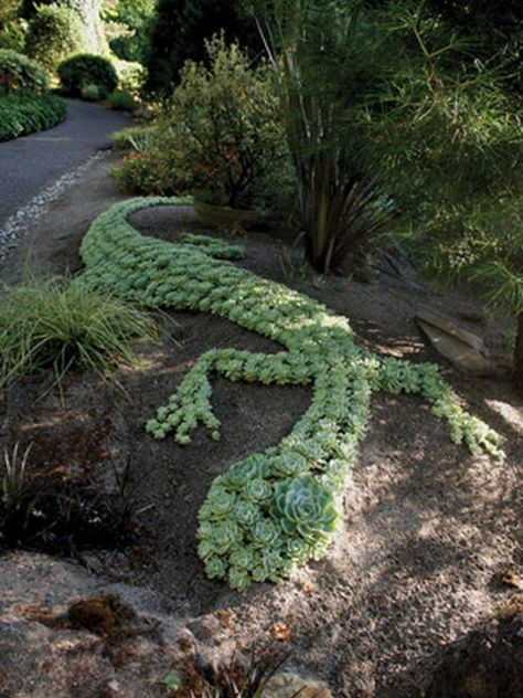 succulents topiary Succulent Garden Design, Succulent Gardening, Have Inspiration, Cactus Garden, Succulents Garden, Hidden Storage, Rock Garden, Dream Garden, Yard Landscaping