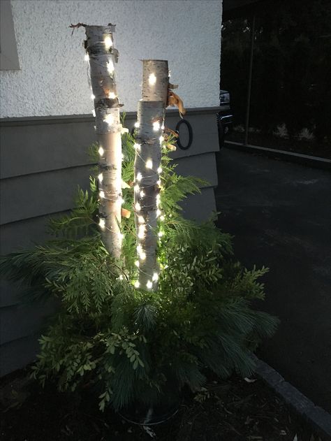 Outdoor Birch Tree Decor Christmas, Birch Planter Ideas, Birch Branches Christmas, Birch Tree Branches In Pot Christmas, White Birch Decorations, Birch Sticks In Planters, Birch Branches In Pots, Xmas Pots, Birch Tree Decor Christmas