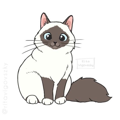 Ragdoll Cat Drawing Cartoon, Birman Cat Drawing, Birman Cat Aesthetic, Illustration Chat, Chat Kawaii, Birman Cat, Cat Coloring, Cat Coloring Page, Cat Carrier