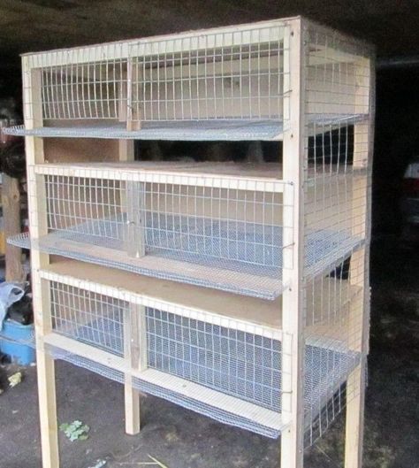 Rabbit Cages Outdoor, Poultry Farm Design, Pigeon Loft Design, Quail Coop, Hen Coop, Chicken Brooder, Cute Chicken Coops, Raising Quail, Meat Rabbits