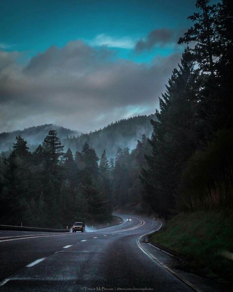 Humboldt County Aesthetic, County Aesthetic, Chill Wallpapers, Mystical Landscapes, Humboldt County California, Chill Wallpaper, Highway 101, Lake George Ny, Humboldt County