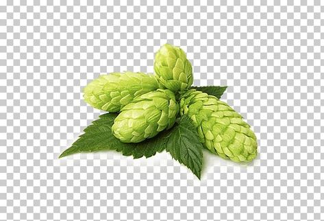 Beer Hops, Brown Ale, Beer Recipes, Beer Brewing, Beer Label, Cactus Plants, Plant Leaves, Beer, Plants