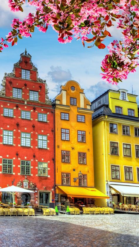 Dive into the charm of Stockholm with our curated guide to the top activities! Explore the cobblestone streets and historic landmarks of Old Town, and discover the magic of Sweden's capital city. 🏰🌟 Ready to plan your Stockholm adventure? Click to read our blog article for insider tips and recommendations! #ThingsToDoInStockholm #OldTown #StockholmTravel #ExploreStockholm #VisitStockholm Things To Do In Stockholm, Sweden Cities, Viking Museum, Stockholm Travel, Visit Stockholm, Uninhabited Island, Stockholm City, Best Pubs, Kayak Trip