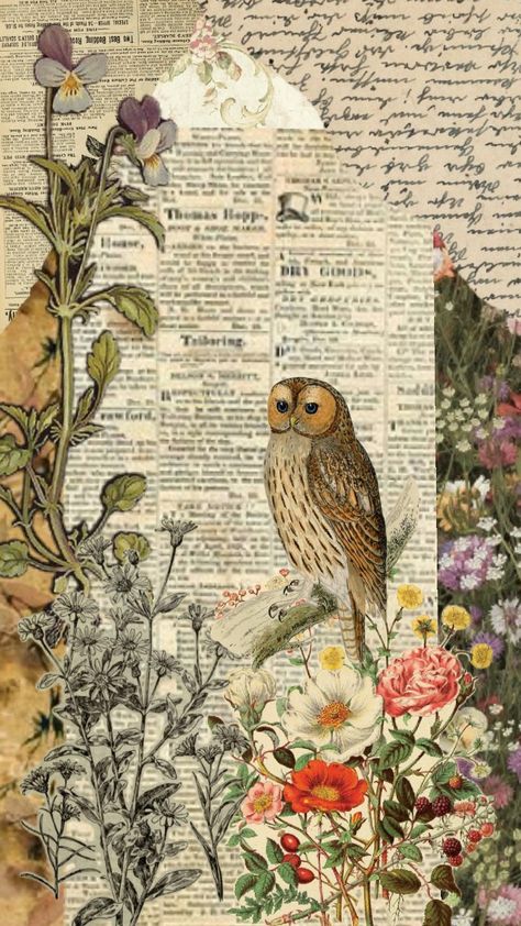 #aestheticvintage #vintage #owl Owl Background Wallpapers, Barn Owl Wallpaper, Soft Scenery, Owl Aesthetic, Owl Background, Owl Printables, Owl Wallpaper, Vintage Owl, Owl Art