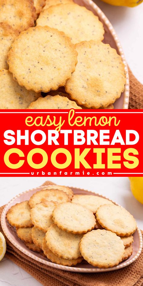 Brighten up your holiday baking with this Easy Lemon Shortbread Cookies Recipe! These light and tender cookies have a buttery texture, zesty lemon flavor, and nutty flavor from poppy seeds, making them the perfect sweet bite for Christmas dessert ideas and easy Christmas cookies! Vegetarian Cookie Recipes, Christmas Dessert Ideas, Easy Christmas Cookies, Amazing Cookie Recipes, Shortbread Cookies Recipe, Spritz Cookie Recipe, Desserts With Few Ingredients, Lemon Shortbread, Lemon Shortbread Cookies