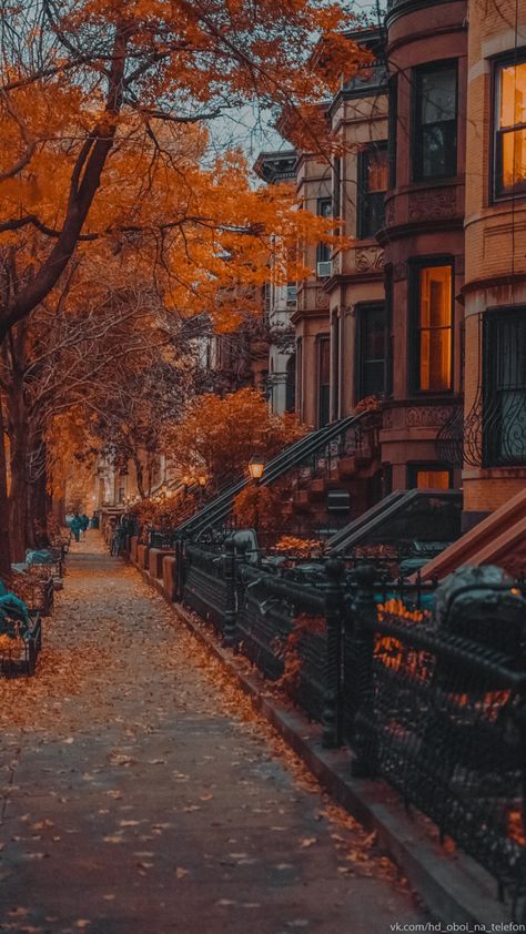 Brooklyn In Fall, Fall In Chicago Aesthetic, Fall Romance Aesthetic, Brooklyn Ny Aesthetic, Cinematic Illustration, Fall Romance, Chicago Fall, Fall In Nyc, Grid Game