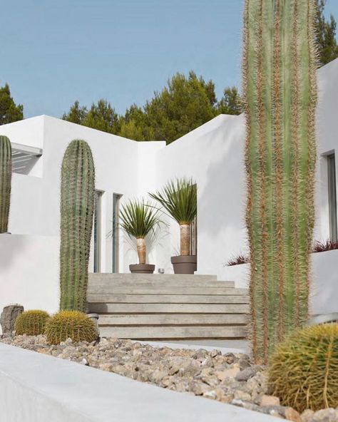 Ellery Store (@ellery.store) posted on Instagram • Oct 5, 2020 at 11:44pm UTC Outdoor Space Design, Mediterranean Design, Casas Coloniales, Modern Color Palette, Casa Exterior, Desert Homes, Cactus Garden, Terrace Garden, Desert Landscaping