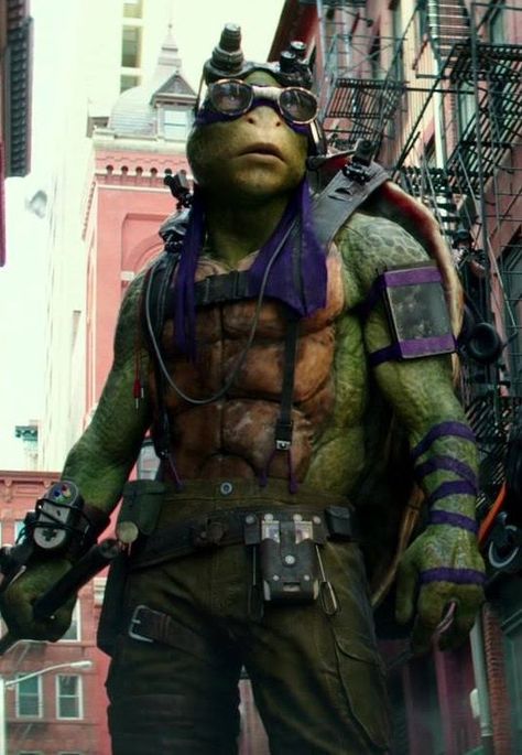 Tmnt 2016, Qa Tester, Ninja Turtles 2014, Donnie Tmnt, Taste In Men, Teenage Mutant Ninja Turtles Movie, Male Cartoon Characters, Raphael Tmnt, Donatello Ninja Turtle