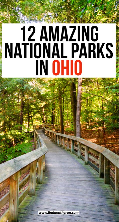 Charming boardwalk in Cuyahoga National Park leading through a lovely green forest. Ohio Bucket List, Ohio Waterfalls, Ohio Getaways, Ohio Attractions, Ohio Vacations, Ohio State Parks, Best National Parks, American National Parks, Road Trip Places