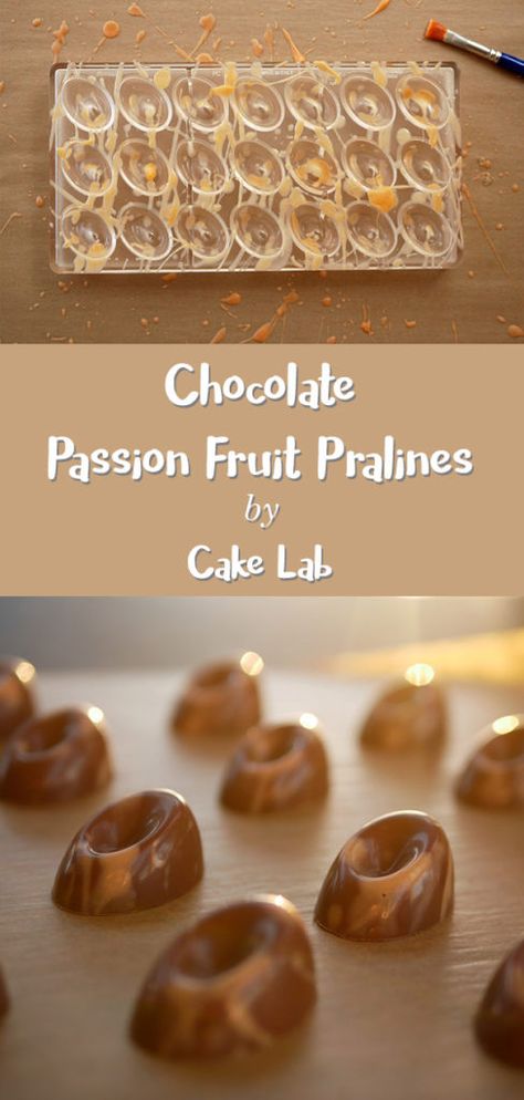 Passion Fruit Ganache Recipe, Chocolate Passion Fruit, Bon Bons Recipe, Praline Cake, Praline Recipe, Energy Bars Recipe, Fine Dining Desserts, Homestead Kitchen, Chocolate Candy Recipes