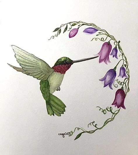 Hummingbird Drawing With Flowers, Hummingbird Pictures Art, Hummingbird Art Painting, Hummingbird Painting Acrylic, Watercolor Hummingbirds, Hummingbird Art Drawing, Hummingbird Clipart, Hummingbird Drawing, Oil Painting Lessons