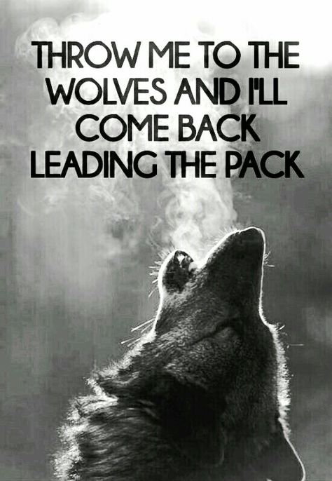 Alpha Quotes, Alpha Male Quotes, Alpha Quote, True Alpha, Lone Wolf Quotes, Alpha Werewolf, Alpha Wolf, Wolf Quotes, Alpha Sigma