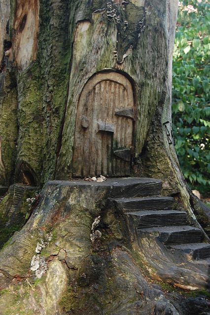 Explore Greg75's photos on Flickr. Greg75 has uploaded 2477 photos to Flickr. Fairy Doors On Trees, Casa Hobbit, Fairy Tree Houses, Faeries Gardens, Fairy Tree, Large Tree, Gnome House, Fairy Garden Houses, The Trunk