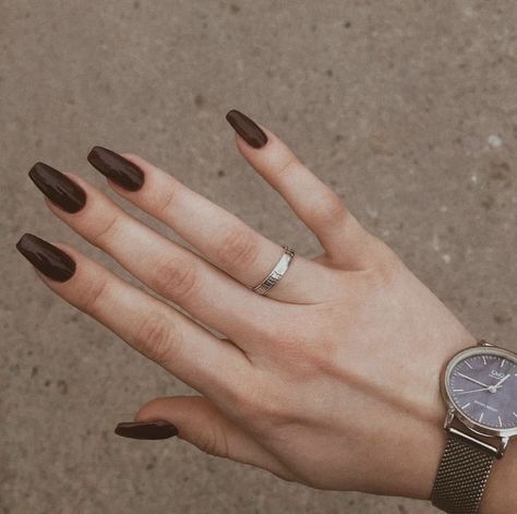 Dark Brown Fall Nails, Dark Academia Nails, Brown Fall Nails, Hand Dpz, Trending Summer Nails, Brown Nail, Hard Gel Nails, Beauty Hacks Nails, Wedding Mehndi