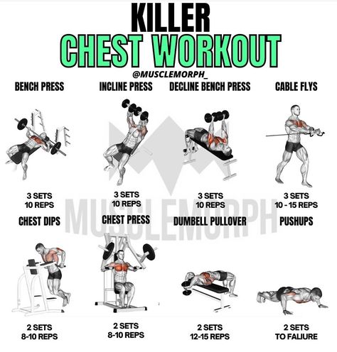 Killer Chest Workout, Gym Workout Schedule, Gym Chest Workout, Upper Body Workout Gym, Dumbbell Workout Plan, Chest Day Workout, Workout Names, Chest Workout For Men, Chest Workout Routine