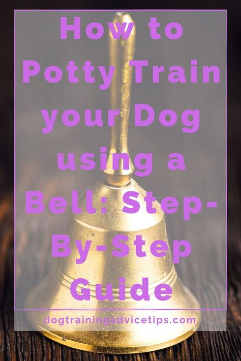 When it comes to dog potty bell training, all it needs is a little time and patience! Here is a step by step guide to potty train your dog using a bell. #dogtrainingadvicetips #dogbehavior #dogtraining #dogobedience #dogtrainingtips #dogtips #dogpotty #dogs Dog Potty Bell, Potty Bells, Best Potty, How To Potty Train, Time And Patience, Dog Potty Training, Dog Potty, Potty Train, Better Relationship