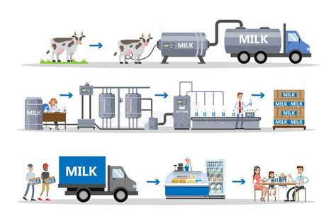 Ielts Writing Task1, Factory Illustration, Milk Factory, Process Chart, Writing Corner, Writing Test, Egg Production, Logistics Management, Ielts Writing