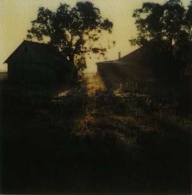 Arseniy Tarkovsky, Tarkovsky Polaroids, Andrey Tarkovsky, Andrei Tarkovsky, Roll Of Film, Polaroid Photography, Polaroid Pictures, Film Photos, Instant Film, Foto Art