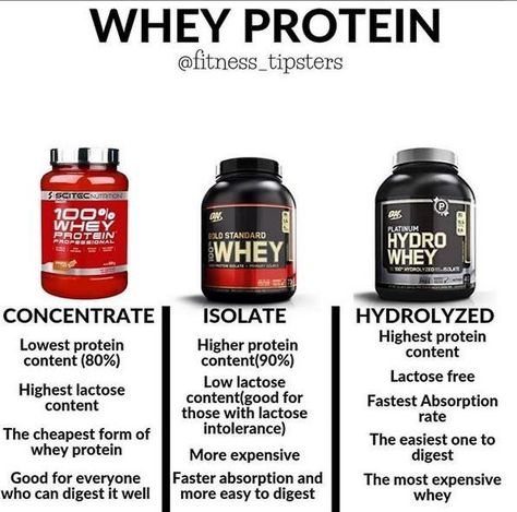 Prostate Health Diet Whey Protein Benefits, Best Protein Supplement, Best Whey Protein Powder, Protein Powder For Women, Best Bodybuilding Supplements, Best Whey Protein, Health Diet Plan, Best Protein Powder, Protein Diet