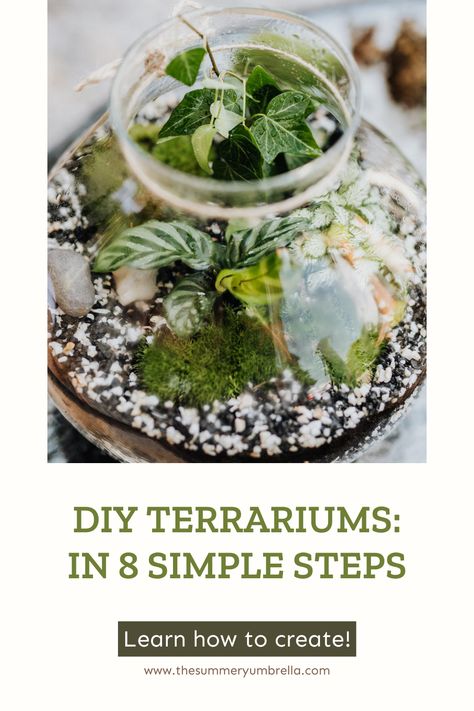 How To Build An Open Terrarium, Plants In A Jar Terrarium Ideas, How To Make An Open Terrarium, Open Top Terrarium, Terrainium Ideas, Planting A Terrarium, Decorating A Bird Cage Ideas, Building A Terrarium, Beautiful Terrariums Diy