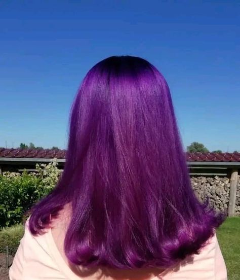 Dyed Hair Inspiration Purple, Aesthetic Purple Hair, Purple Hair Aesthetic, Vibrant Purple Hair, Hair Coloring Ideas, Purple Hair Dye, Bright Purple Hair, Plum Hair, Girl Hair Colors