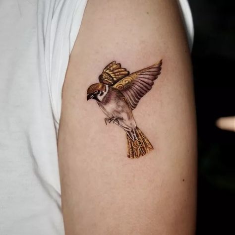 Sparrow Tattoo, Bird Tattoo, Birds Tattoo, Image Types, Google Images, Tattoos, 10 Things, Color