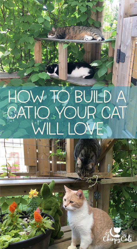 How to build a catio your cat will love Cat Playground Outdoor, Katt Grejer, Chat Diy, Cat Patio, Outdoor Cat Enclosure, Cat Run, Outdoor Cat House, Cat Playground, Cat Enclosure