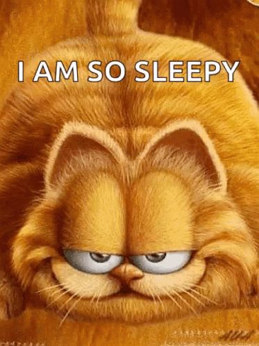 Garfield Wallpaper, Garfield Pictures, Garfield Cartoon, Good Night Gif, Beautiful Gif, Animated Images, Orange Cat, Cute Gif, Cat Gif