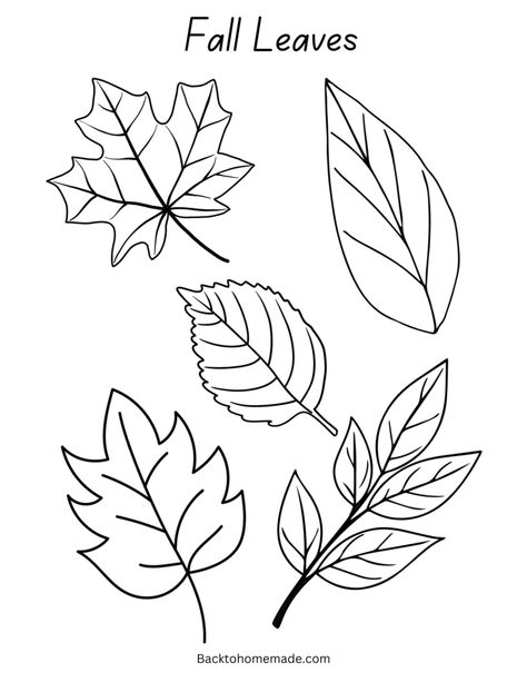 Printable Fall Leaves, Pictures Of Leaves, Fall Coloring Sheets, Leaves Printable, Fall Coloring, Coloring Pictures, Fall Leaves, Coloring Sheets, Autumn Leaves