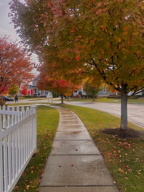 Halloween Fall Aesthetic, Fall Foilage, Spooky Halloween Pictures, Fall Rain, Home Styles Exterior, Fall Getaways, Autumn In New York, Autumn Halloween, Autumn Scenes