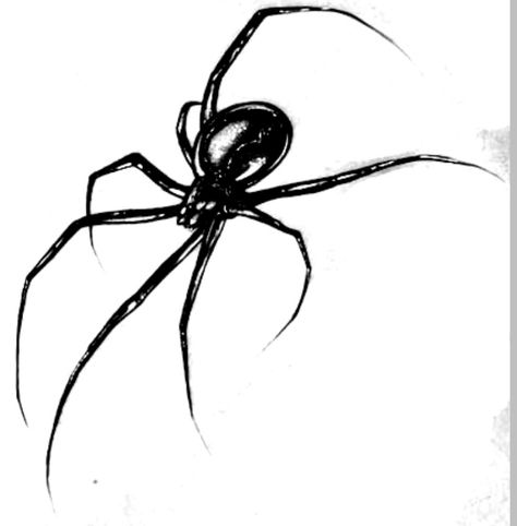 Grunge Spider Drawing, Spider Foot Tattoo, Spider Tattoo Design, Inch Tattoo, Spider Heart, Black Widow Tattoo, Hunter Tattoo, Spider Drawing, Widow Spider