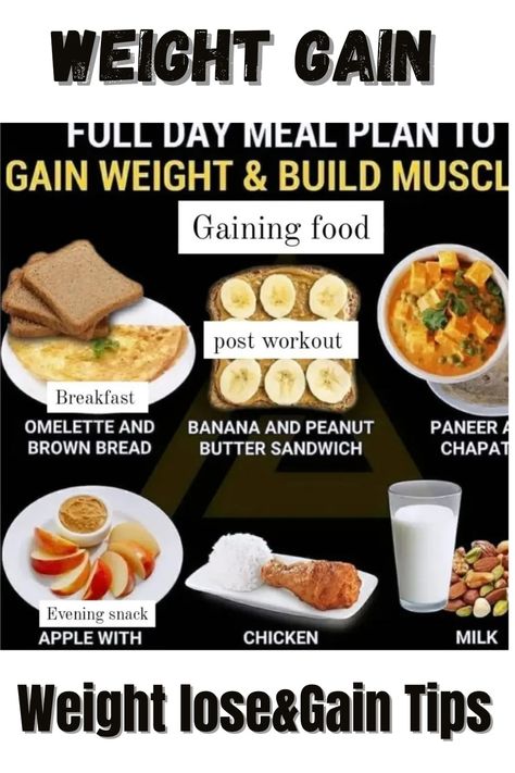 how to gain weight.weight gain.how to gain weight.weight gain diets.diet planner for weight gain Weight Gain Diet Plan, Caloric Surplus, Post Workout Breakfast, Egg Calories, Healthy Weight Gain Foods, Food To Gain Muscle, Weight Gain Diet, Fish Eggs, Weight Gain Meals