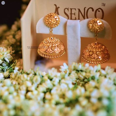 The Wedding Canvas (@twc2014india) • Instagram photos and videos Earing Jewellery, Jhumka Design, Gold Jhumkas, Unique Gold Jewelry Designs, Bridal Jewelry Sets Brides, Gold Jhumka, Jhumka Designs, Wedding Canvas, Gold Jhumka Earrings