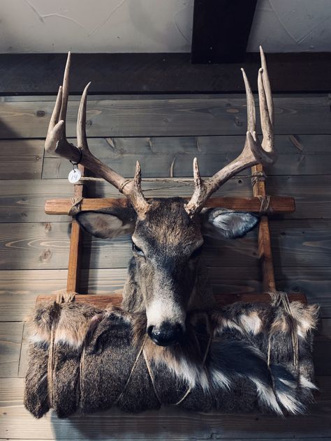 New pack mount!! Check us out and give us a like!! Deer Mount Ideas Taxidermy, Deer Pack Mounts, Pack Mount Taxidermy, First Deer Mount Ideas, Pack Mount Deer, Mule Deer Mounts, Buck Mounts Ideas, Taxidermy Deer Mounts, Deer Skull Mount Ideas