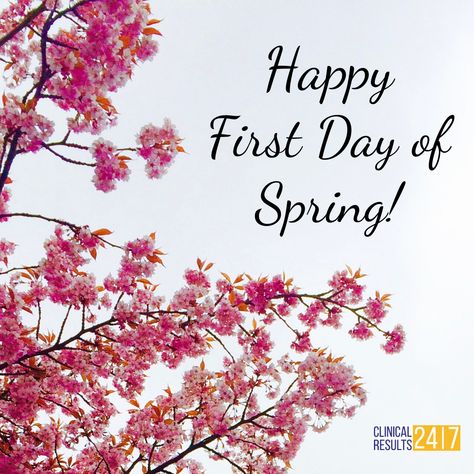 Happy Spring Day, 1st Day Of Spring, Summer Scenery, Obx Nc, Happy First Day Of Spring, Daily Wishes, Obx Vacation, Hello March, Spring Quotes